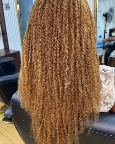 Brazilian-kinky-human-hair-extension-sisterbraid-hairstyle-colour-30-33-mix-4C-texture-hairbyvintage-salon-lekki-lagos-nigeria